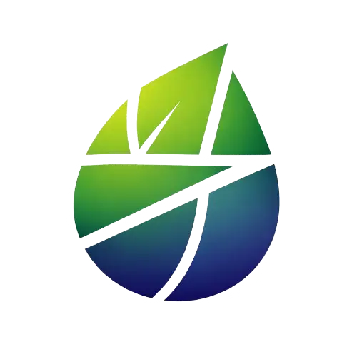 Logo du site du formulaire instantané